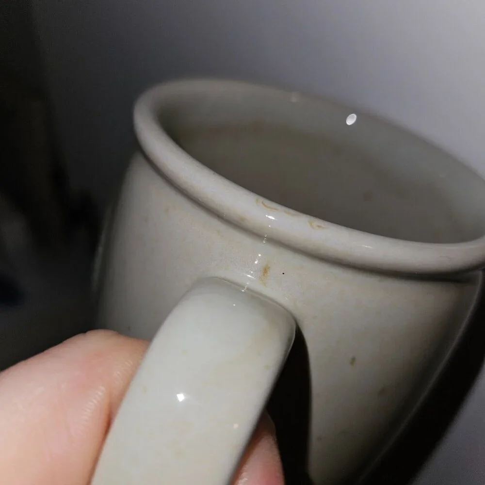 Covered Wagon Mug Coffee Cup Glass Tan Blue Horse Drawn Oregon Trail